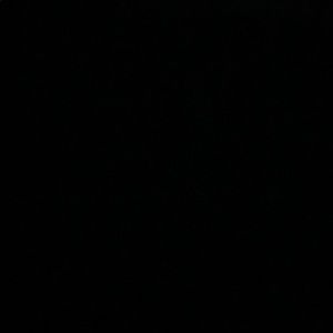 Meet your Posher, Dillon